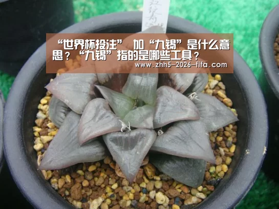 世界杯投注