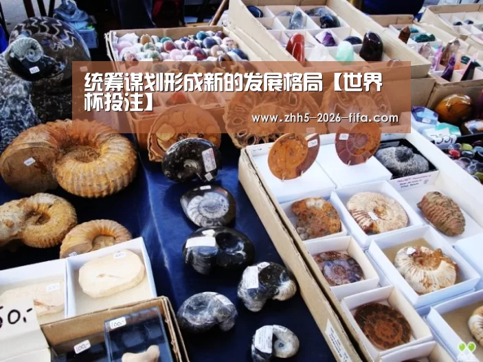 统筹谋划形成新的发展格局【世界杯投注】(图1) 世界杯投注