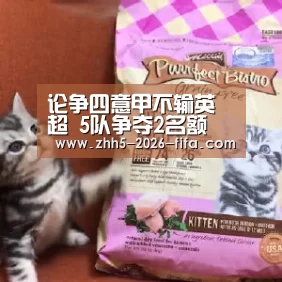 世界杯投注