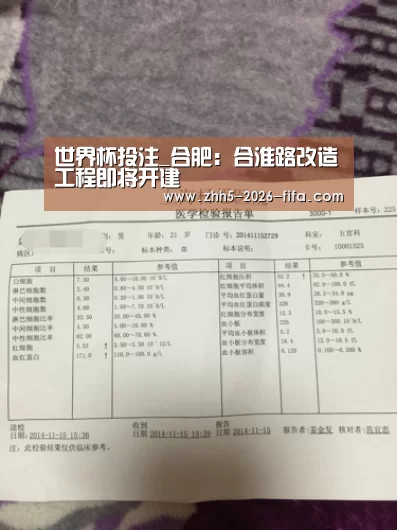 世界杯投注_合肥:合淮路改造工程即将开建(图3) 世界杯投注