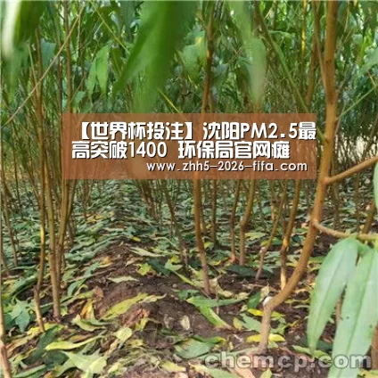 世界杯投注