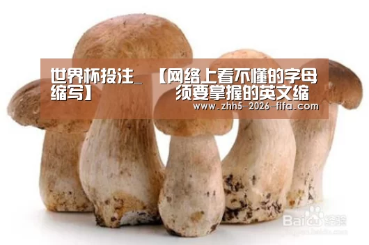世界杯投注_
【网络上看不懂的字母缩写】 须要掌握的英文缩写(图2) 世界杯投注