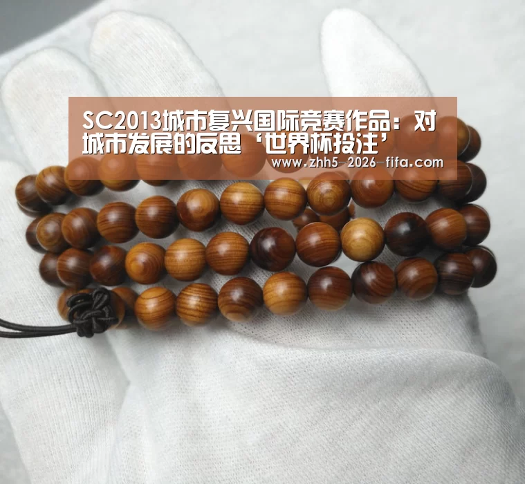 SC2013城市复兴国际竞赛作品:对城市发展的反思‘世界杯投注’(图3) 世界杯投注