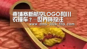 柬埔寨新航空LOGO和川农撞车?-世界杯投注(图2) 世界杯投注