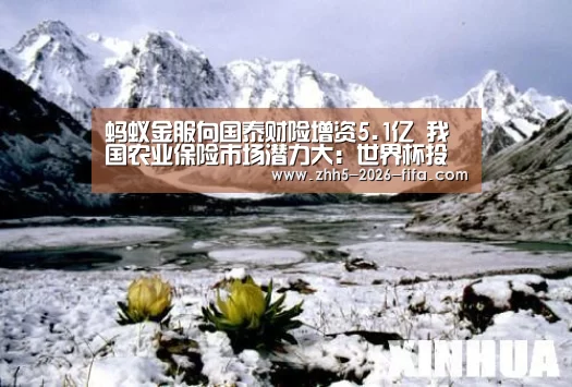 蚂蚁金服向国泰财险增资5.1亿 我国农业保险市场潜力大:世界杯投注(图1) 世界杯投注